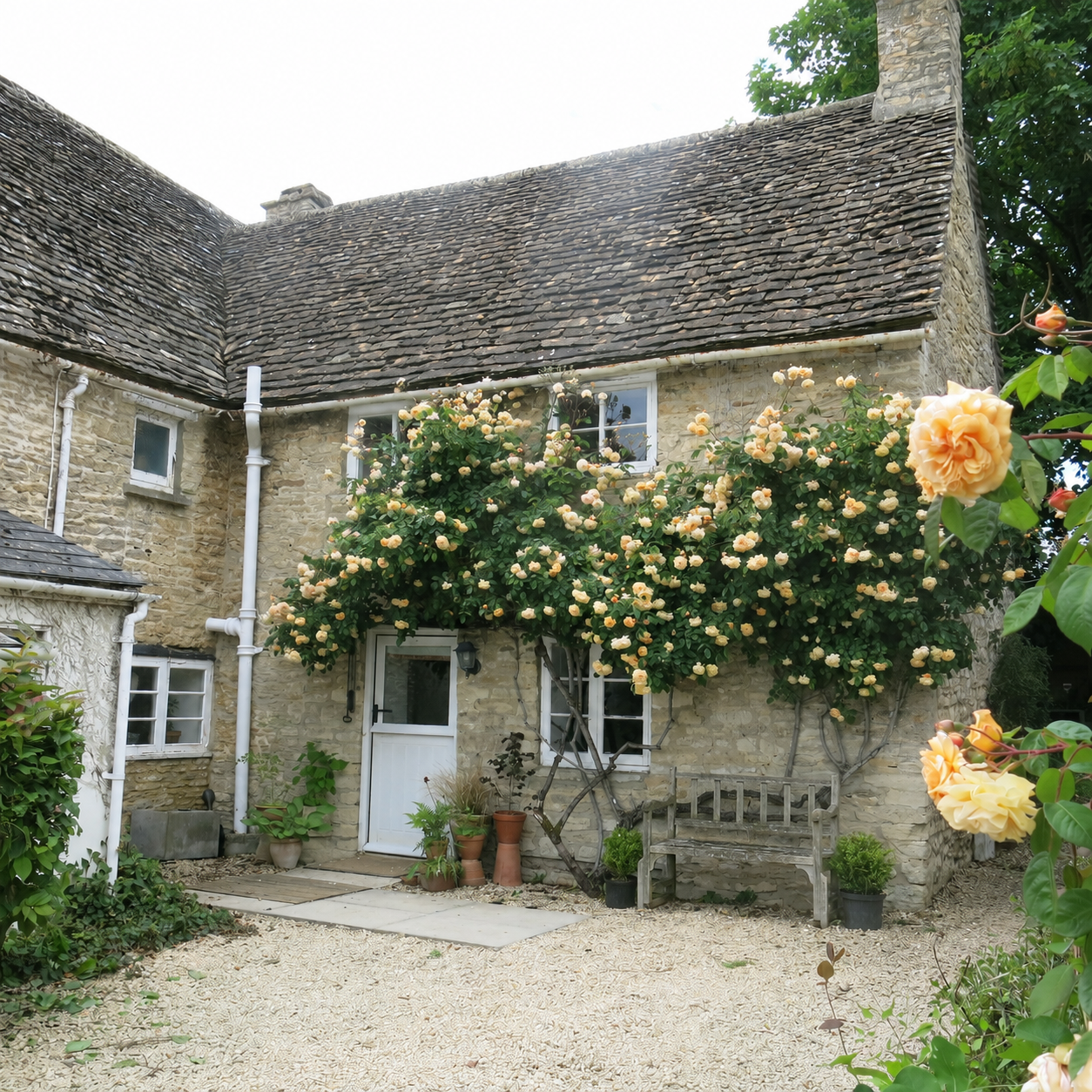 Top Cottage - Ewen exterior