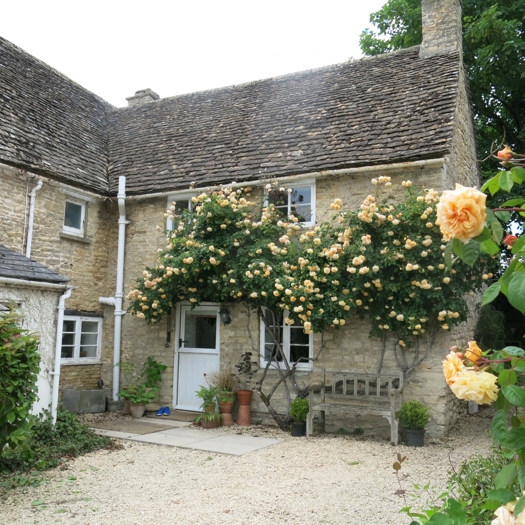 Top Cottage - Ewen exterior